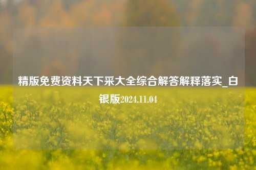 精版免费资料天下采大全综合解答解释落实_白银版2024.11.04