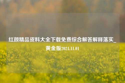 红颜精品资料大全下载免费综合解答解释落实_黄金版2024.11.01