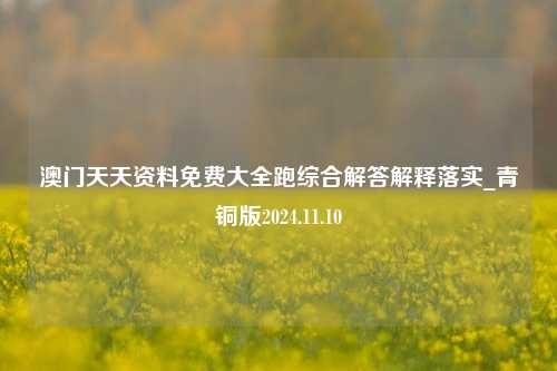 澳门天天资料免费大全跑综合解答解释落实_青铜版2024.11.10