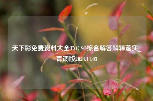 天下彩免费资料大全TXC SO综合解答解释落实_青铜版2024.11.03