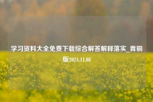 学习资料大全免费下载综合解答解释落实_青铜版2024.11.08