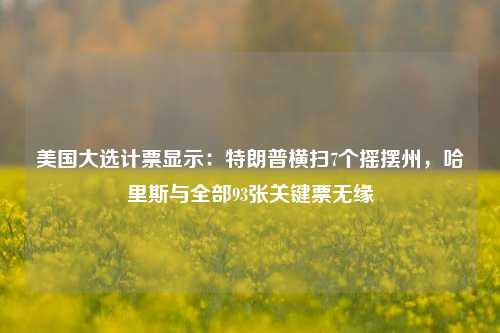 美国大选计票显示：特朗普横扫7个摇摆州，哈里斯与全部93张关键票无缘