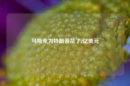 马斯克为特朗普花了2亿美元