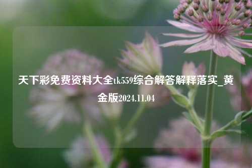 天下彩免费资料大全tk559综合解答解释落实_黄金版2024.11.04