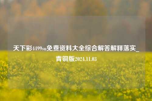 天下彩4499su免费资料大全综合解答解释落实_青铜版2024.11.03