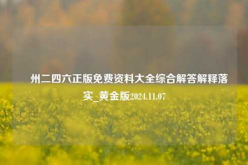 廣州二四六正版免费资料大全综合解答解释落实_黄金版2024.11.07