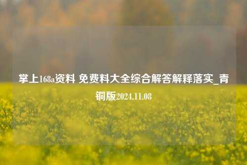 掌上168a资料 免费料大全综合解答解释落实_青铜版2024.11.08