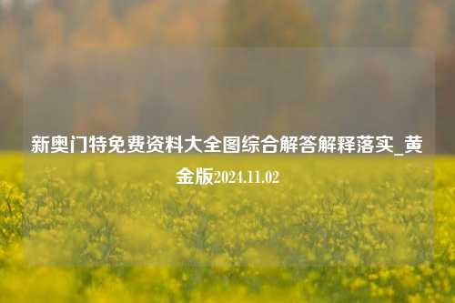 新奥门特免费资料大全图综合解答解释落实_黄金版2024.11.02