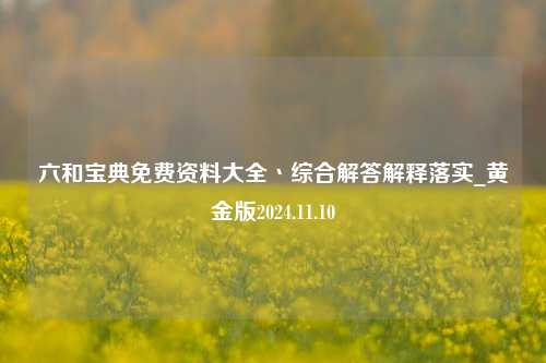 六和宝典免费资料大全丶综合解答解释落实_黄金版2024.11.10