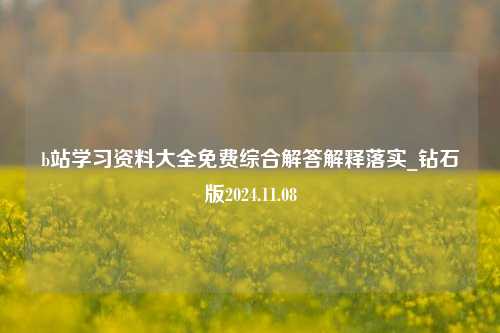 b站学习资料大全免费综合解答解释落实_钻石版2024.11.08