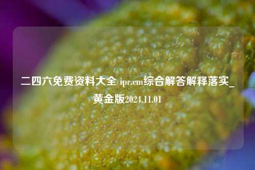 二四六免费资料大全 ipr.cm综合解答解释落实_黄金版2024.11.01