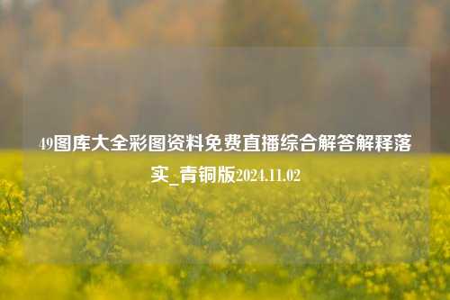 49图库大全彩图资料免费直播综合解答解释落实_青铜版2024.11.02