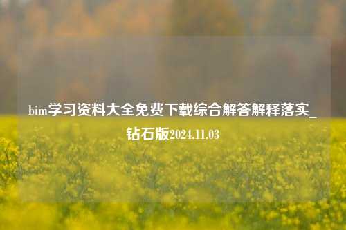 bim学习资料大全免费下载综合解答解释落实_钻石版2024.11.03