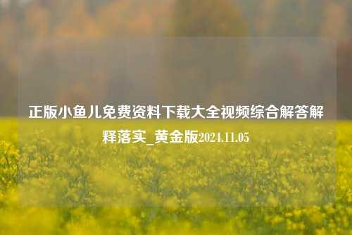 正版小鱼儿免费资料下载大全视频综合解答解释落实_黄金版2024.11.05