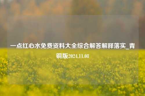 一点红心水免费资料大全综合解答解释落实_青铜版2024.11.08