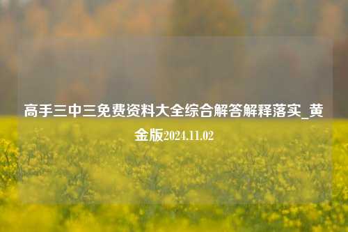 高手三中三免费资料大全综合解答解释落实_黄金版2024.11.02