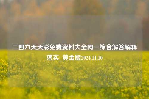 二四六天天彩免费资料大全网一综合解答解释落实_黄金版2024.11.10