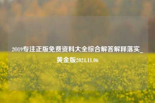 2O19专注正版免费资料大全综合解答解释落实_黄金版2024.11.06