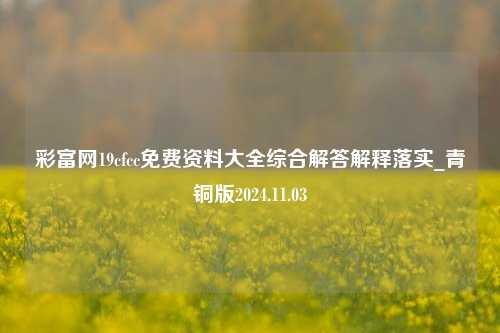 彩富网19cfcc免费资料大全综合解答解释落实_青铜版2024.11.03