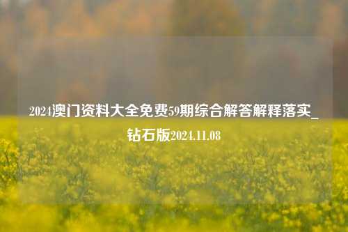 2024澳门资料大全免费59期综合解答解释落实_钻石版2024.11.08