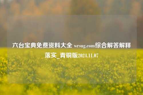 六台宝典免费资料大全 wrsug.com综合解答解释落实_青铜版2024.11.07