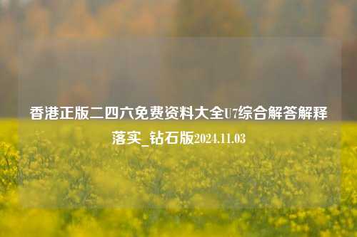 香港正版二四六免费资料大全U7综合解答解释落实_钻石版2024.11.03