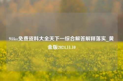 944cc免费资料大全天下一综合解答解释落实_黄金版2024.11.10