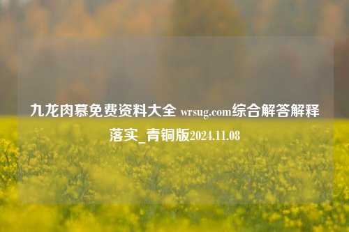 九龙肉慕免费资料大全 wrsug.com综合解答解释落实_青铜版2024.11.08