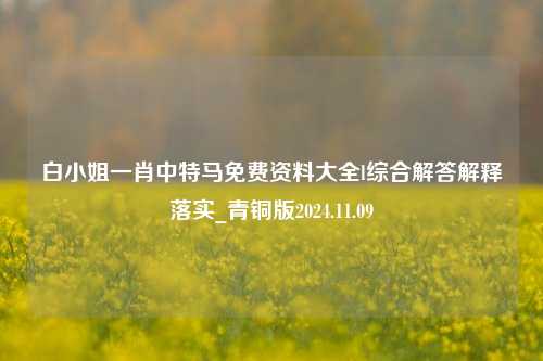 白小姐一肖中特马免费资料大全l综合解答解释落实_青铜版2024.11.09