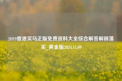 2O19香港买马正版免费资料大全综合解答解释落实_黄金版2024.11.09