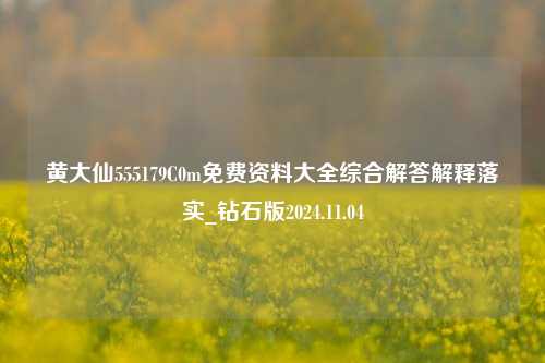 黄大仙555179C0m免费资料大全综合解答解释落实_钻石版2024.11.04