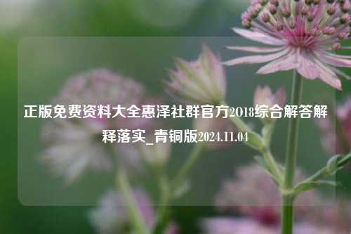 正版免费资料大全惠泽社群官方2O18综合解答解释落实_青铜版2024.11.04