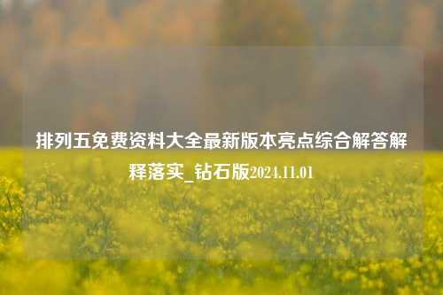 排列五免费资料大全最新版本亮点综合解答解释落实_钻石版2024.11.01