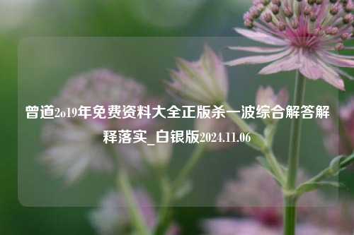 曾道2o19年免费资料大全正版杀一波综合解答解释落实_白银版2024.11.06