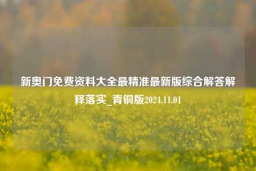 新奥门免费资料大全最精准最新版综合解答解释落实_青铜版2024.11.01